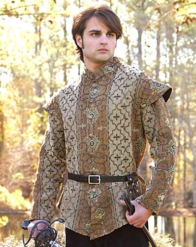 Royal Court Renaissance Doublet in gold and brown  brocade.