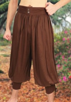 Wayfarer pants in brown.