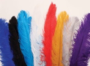 Ostrich plumes for hats