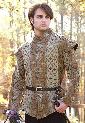 Royal Court Doublet in gold, brown and tan cotton brocade.